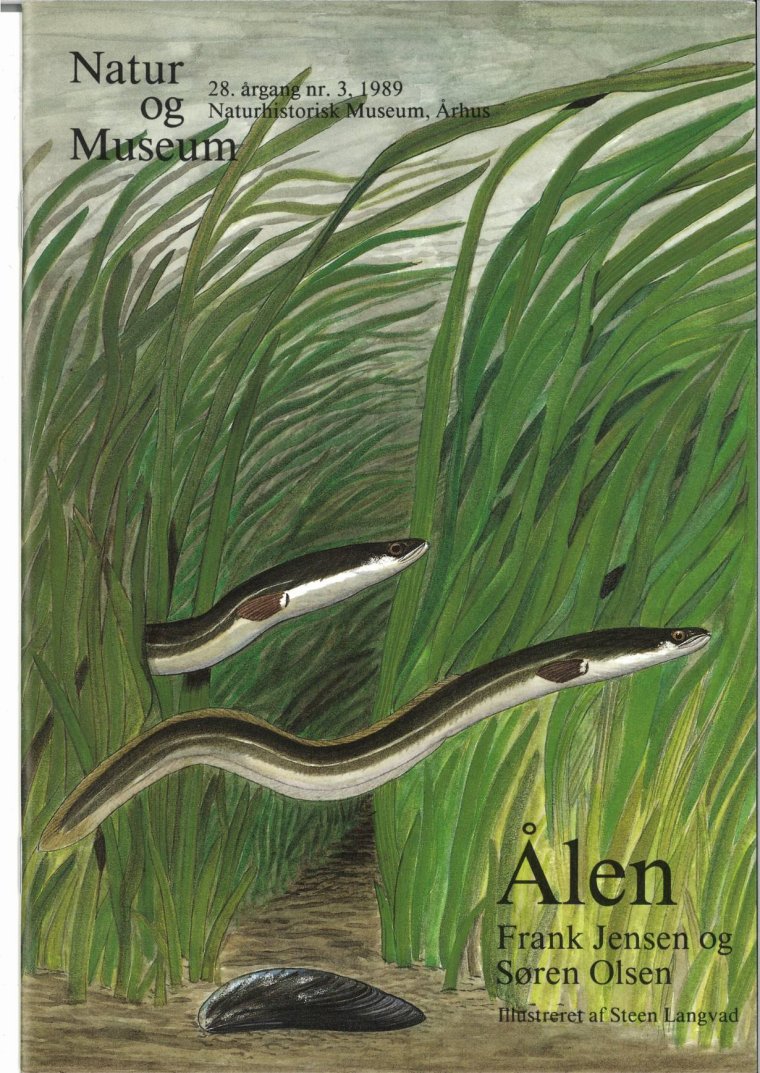 Ålen